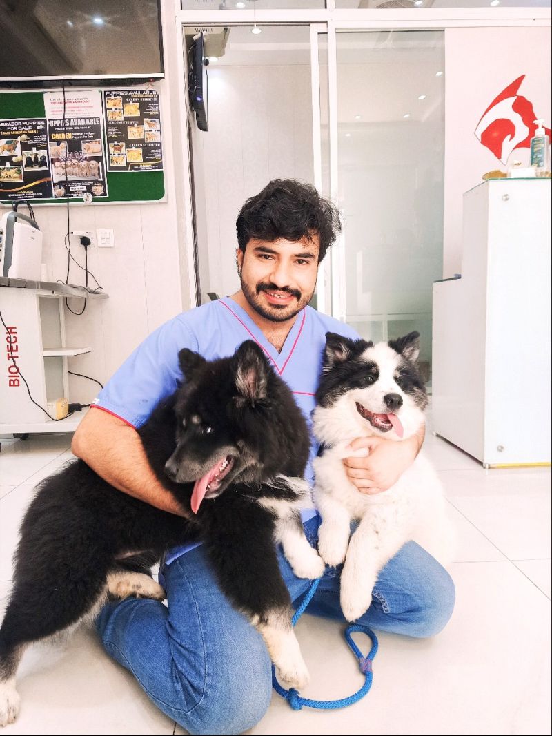 Dr. Fahad, Doctor of Veterinary Medicine